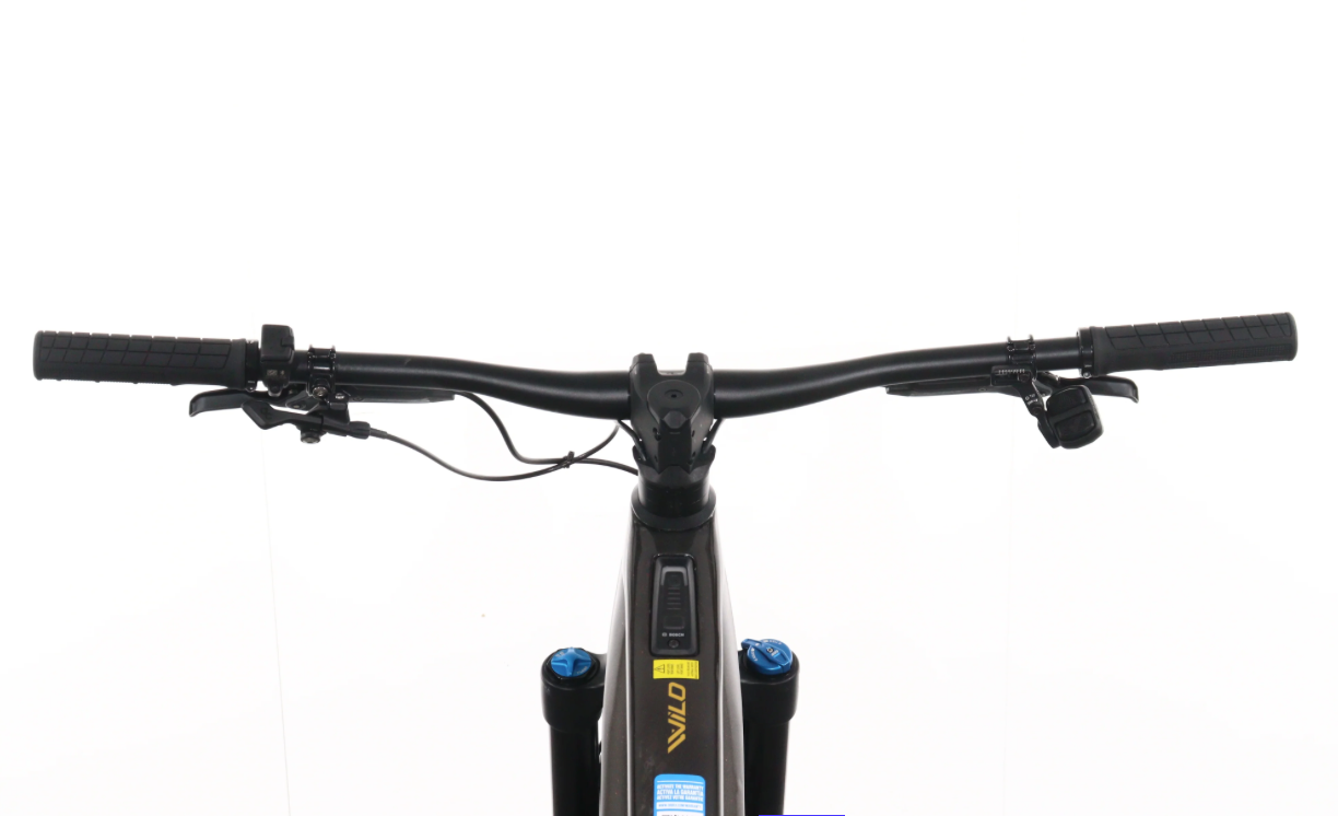 Orbea WILD M11-AXS (Modelljahr 2024)