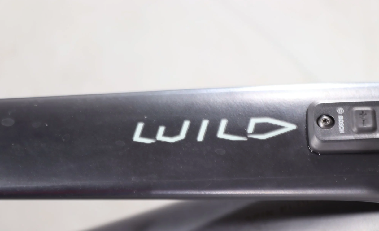 Orbea Wild ST H20 (Modelljahr 2024)