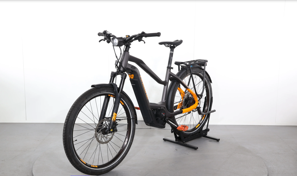 Haibike TREKKING 10    Baujahr 2022