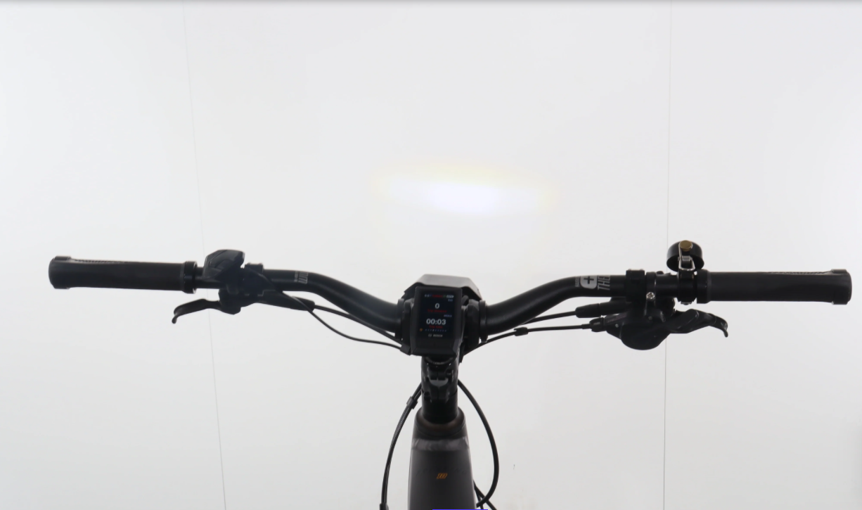 Haibike TREKKING 10    Baujahr 2022