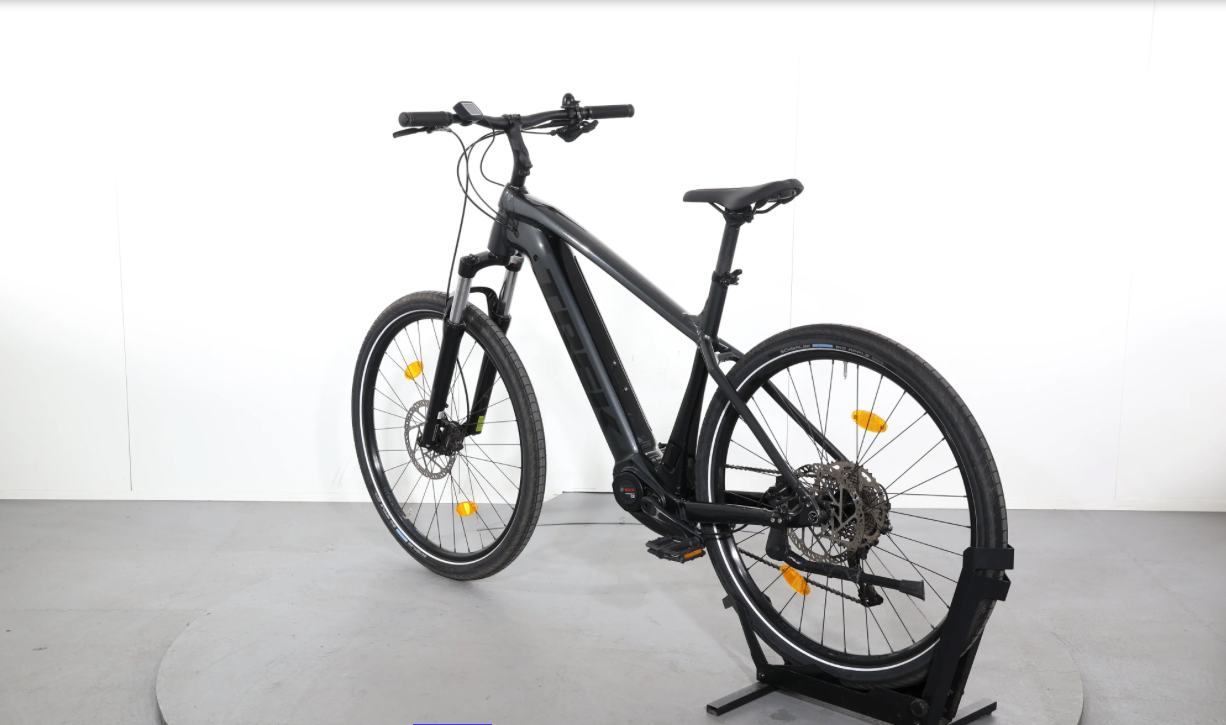 Trek Powerfly 4, Baujahr 2021