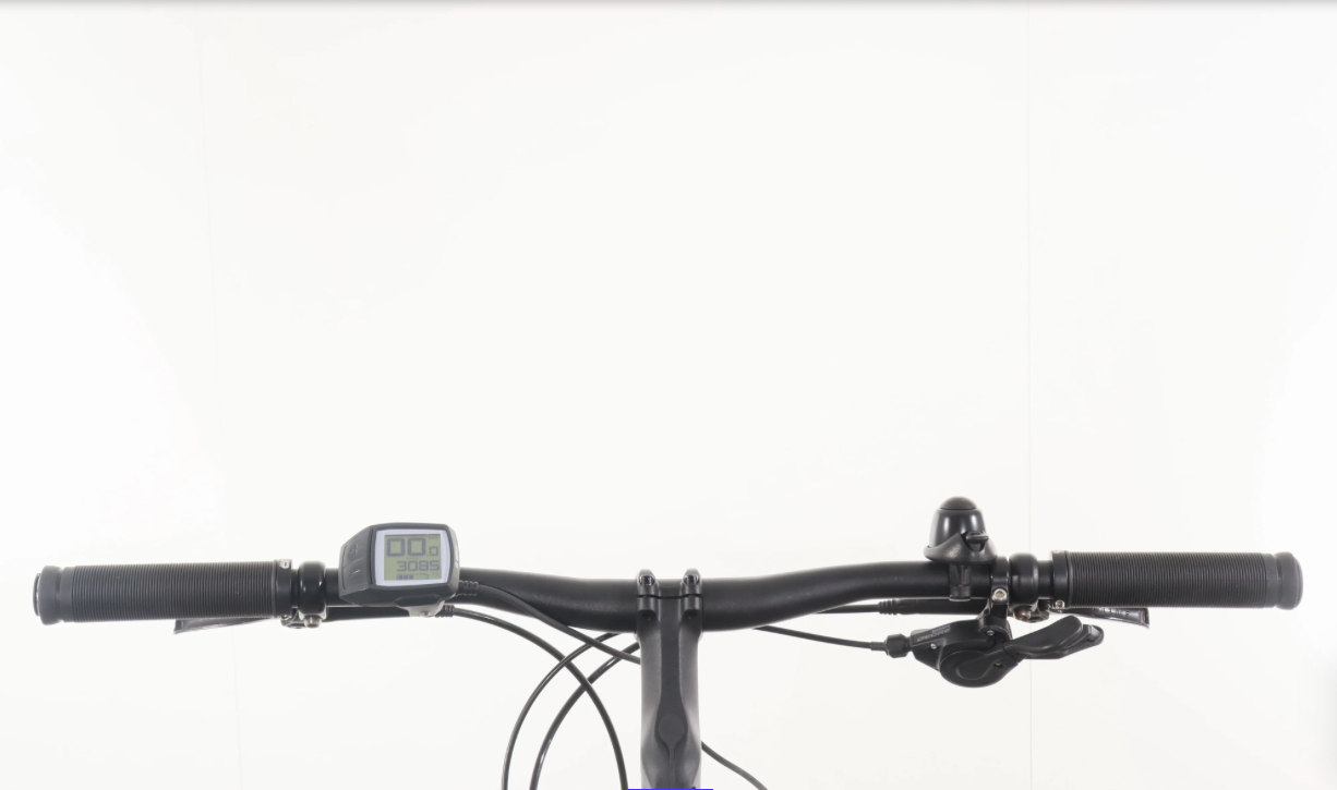 Trek Powerfly 4, Baujahr 2021