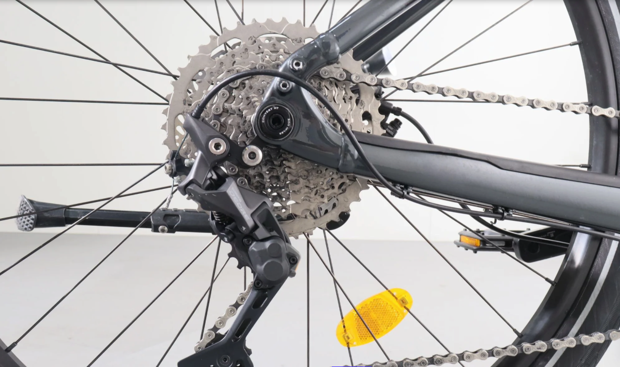 Trek Powerfly 4, Baujahr 2021