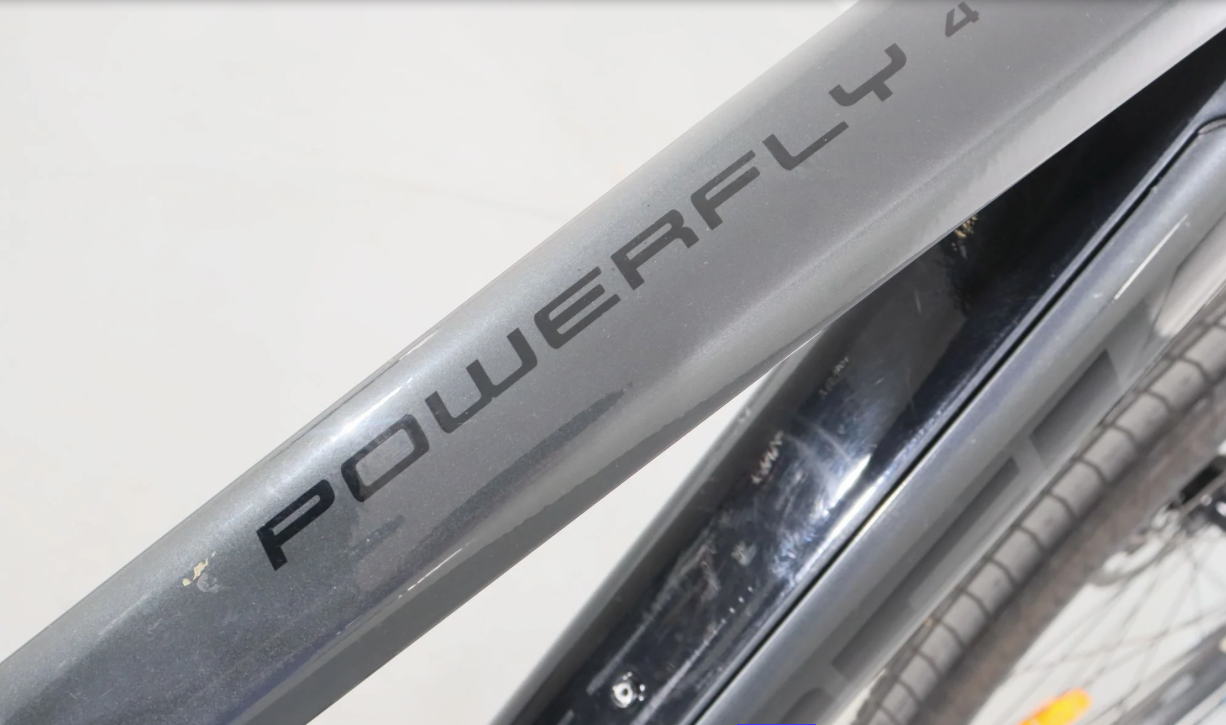 Trek Powerfly 4, Baujahr 2021