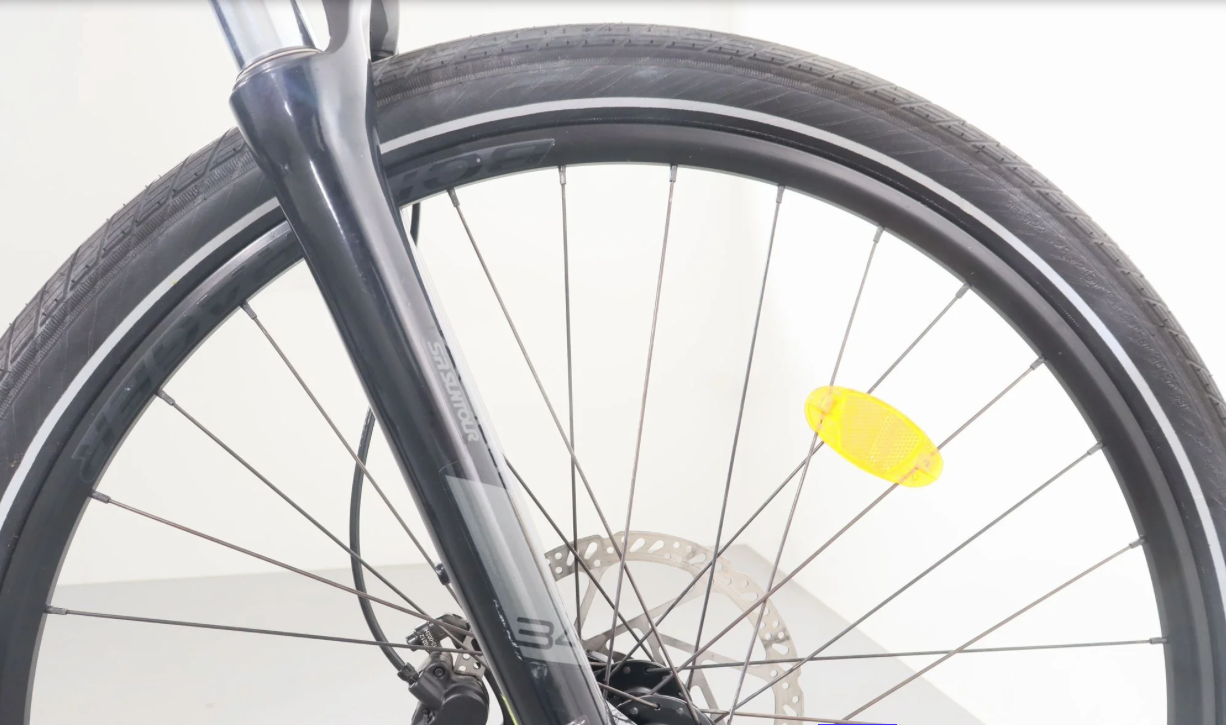 Trek Powerfly 4, Baujahr 2021