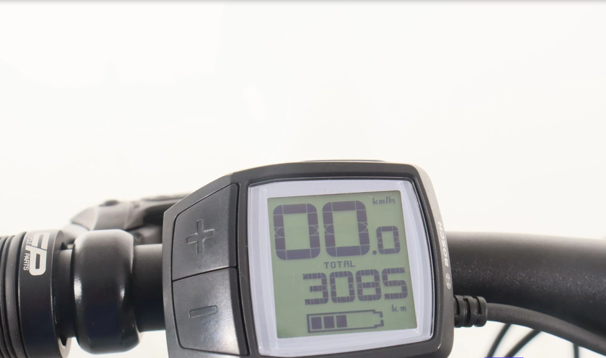 Trek Powerfly 4, Baujahr 2021