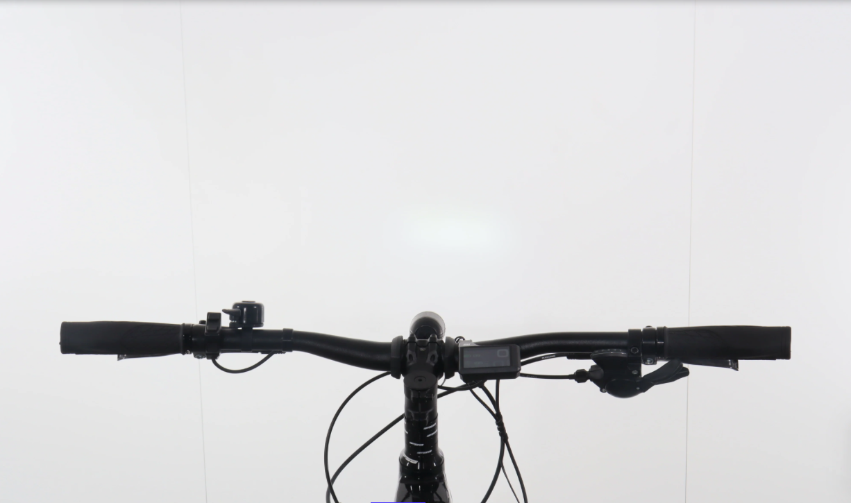 BH Atom Brose Cross Pro Baujahr 2020