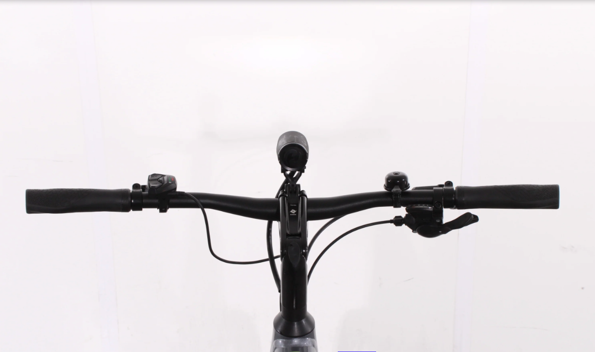 Trek Dual Sport+    Modell 2024