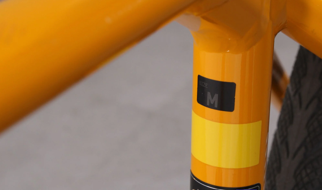 Orbea Gain D30    Baujahr 2024