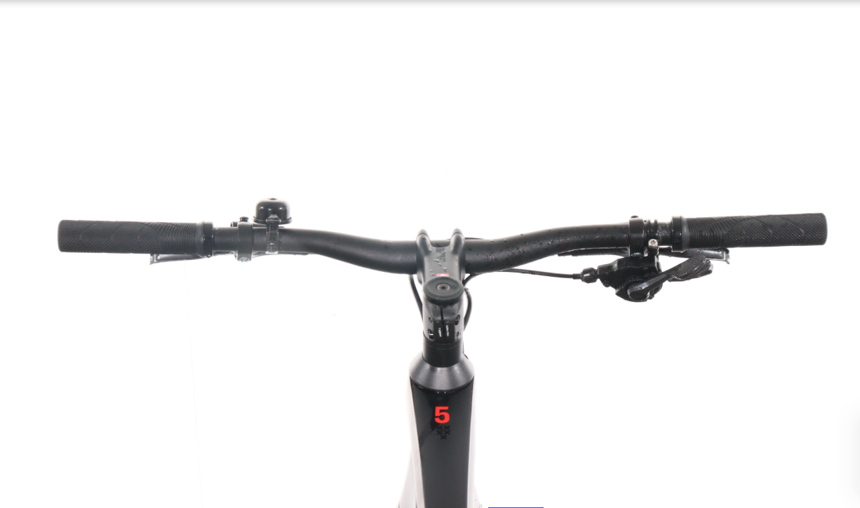 Trek FX 5    Baujahr 2023